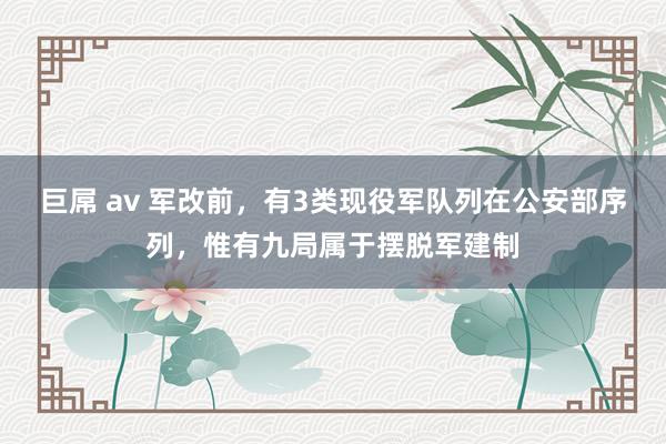 巨屌 av 军改前，有3类现役军队列在公安部序列，惟有九局属于摆脱军建制