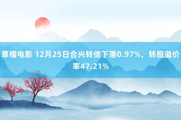 草榴电影 12月25日合兴转债下落0.97%，转股溢价率47.21%