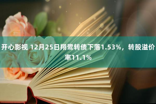 开心影视 12月25日翔鹭转债下落1.53%，转股溢价率11.1%