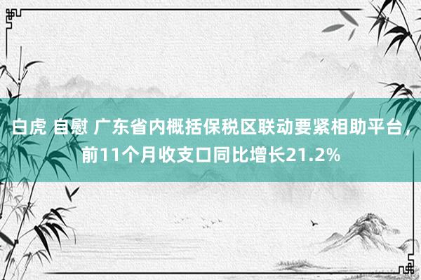 白虎 自慰 广东省内概括保税区联动要紧相助平台，前11个月收支口同比增长21.2%