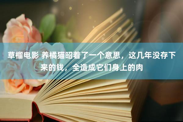 草榴电影 养橘猫昭着了一个意思，这几年没存下来的钱，全造成它们身上的肉