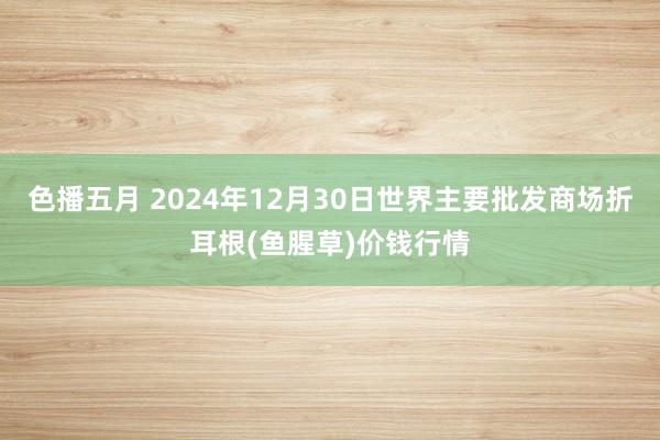 色播五月 2024年12月30日世界主要批发商场折耳根(鱼腥草)价钱行情