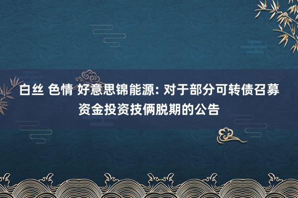 白丝 色情 好意思锦能源: 对于部分可转债召募资金投资技俩脱期的公告