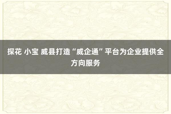 探花 小宝 威县打造“威企通”平台为企业提供全方向服务