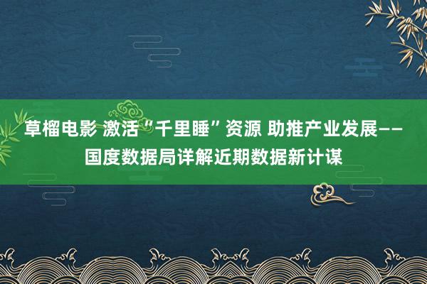 草榴电影 激活“千里睡”资源 助推产业发展——国度数据局详解近期数据新计谋