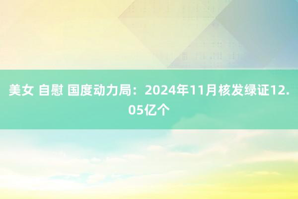 美女 自慰 国度动力局：2024年11月核发绿证12.05亿个