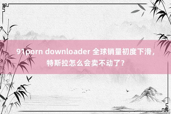 91porn downloader 全球销量初度下滑，特斯拉怎么会卖不动了？