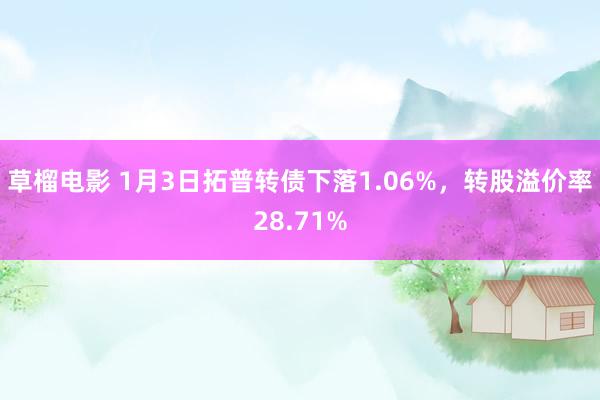 草榴电影 1月3日拓普转债下落1.06%，转股溢价率28.71%