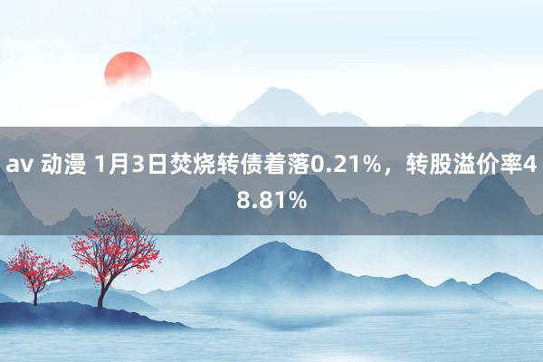 av 动漫 1月3日焚烧转债着落0.21%，转股溢价率48.81%