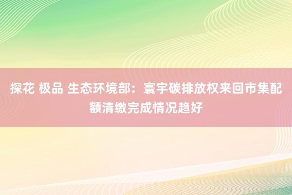 探花 极品 生态环境部：寰宇碳排放权来回市集配额清缴完成情况趋好