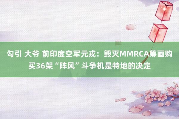 勾引 大爷 前印度空军元戎：毁灭MMRCA筹画购买36架“阵风”斗争机是特地的决定