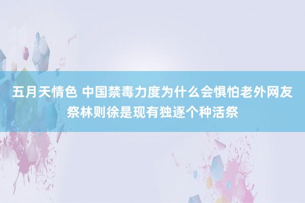 五月天情色 中国禁毒力度为什么会惧怕老外网友祭林则徐是现有独逐个种活祭