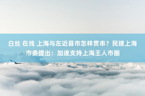 白丝 在线 上海与左近县市怎样贯串？民建上海市委提出：加速支持上海王人市圈