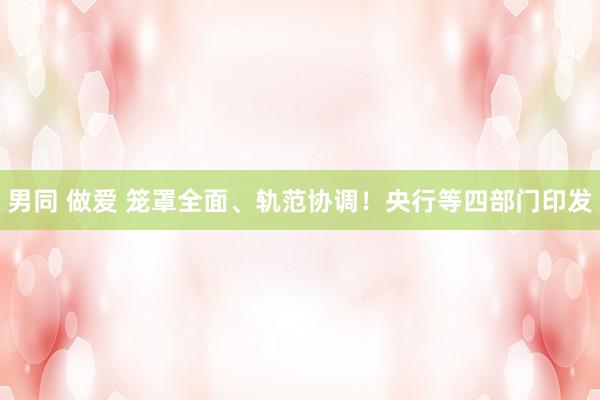男同 做爱 笼罩全面、轨范协调！央行等四部门印发