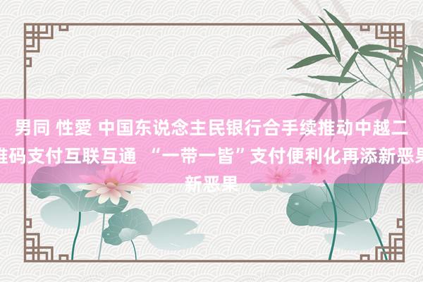 男同 性愛 中国东说念主民银行合手续推动中越二维码支付互联互通  “一带一皆”支付便利化再添新恶果
