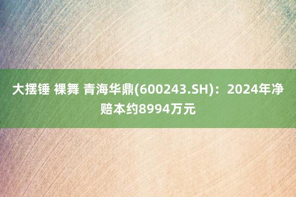 大摆锤 裸舞 青海华鼎(600243.SH)：2024年净赔本约8994万元